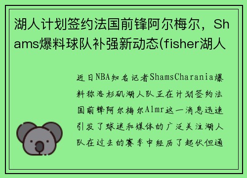 湖人计划签约法国前锋阿尔梅尔，Shams爆料球队补强新动态(fisher湖人)