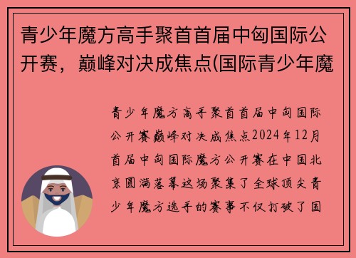 青少年魔方高手聚首首届中匈国际公开赛，巅峰对决成焦点(国际青少年魔方协会)