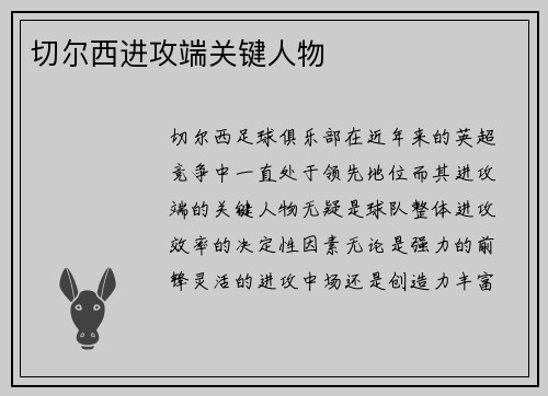 切尔西进攻端关键人物